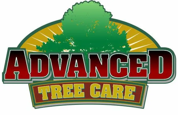 Single-Tree-Maroon-logo-640w