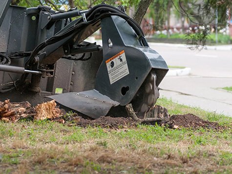 Stump Grinding img 475x356